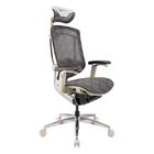 Grey Frame Ergonomic Office Chair Revolving Seating Back Frame