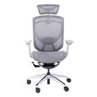 Ergo Swivel Chair Sync Sliding Swivel Seating Ergonomic Chair Mesh Office Chairs