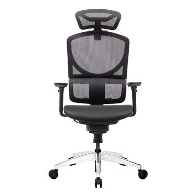 High Back ISEE M Executive Chair With Headrest Mesh Lumbar Support